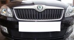 1 469 р. Сетка на бампер (рестайлинг) Russtal (черная) Skoda Fabia Mk2 универсал дорестайлинг (2007-2010)  с доставкой в г. Санкт‑Петербург. Увеличить фотографию 4