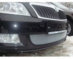 1 539 р. Сетка на бампер (рестайлинг) Russtal (хром)  Skoda Fabia  Mk2 (2007-2010)  с доставкой в г. Санкт‑Петербург. Увеличить фотографию 1