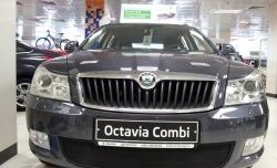 1 469 р. Сетка на бампер Russtal (черная) Skoda Octavia A5 лифтбэк рестайлинг (2008-2013)  с доставкой в г. Санкт‑Петербург. Увеличить фотографию 3