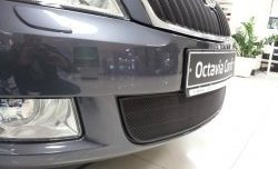 Сетка на бампер Russtal (черная) Skoda Octavia A5 лифтбэк рестайлинг (2008-2013)