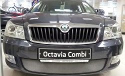 Сетка на бампер Russtal (хром) Skoda Octavia A5 лифтбэк рестайлинг (2008-2013)