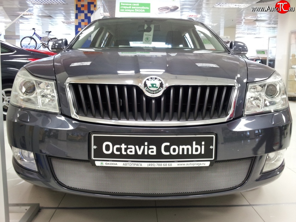 1 539 р. Сетка на бампер Russtal (хром) Skoda Octavia A5 лифтбэк рестайлинг (2008-2013)  с доставкой в г. Санкт‑Петербург