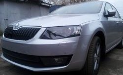 2 569 р. Сетка (для комплектации Ambition, Elegance) на бампер Russtal (черная) Skoda Octavia A7 дорестайлинг лифтбэк (2012-2017)  с доставкой в г. Санкт‑Петербург. Увеличить фотографию 2