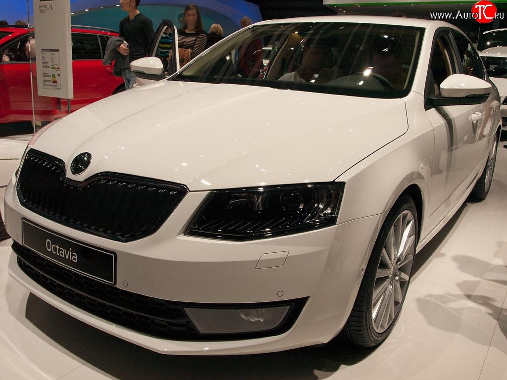 2 569 р. Сетка (для комплектации Ambition, Elegance) на бампер Russtal (черная)  Skoda Octavia  A7 (2012-2017)  с доставкой в г. Санкт‑Петербург