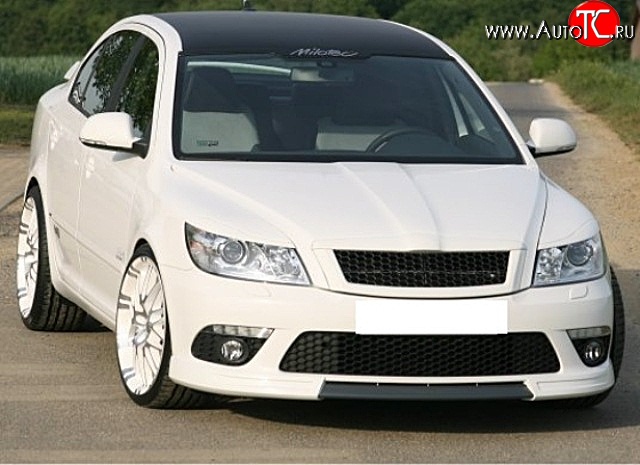 3 699 р. Решётка радиатора RS Style Skoda Octavia A5 рестайлинг универсал (2008-2013) (Алюминиевая черная сетка, Неокрашенная)  с доставкой в г. Санкт‑Петербург