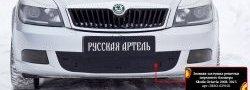 1 059 р. Зимняя заглушка решетки переднего бампера РА Skoda Octavia A5 лифтбэк рестайлинг (2008-2013)  с доставкой в г. Санкт‑Петербург. Увеличить фотографию 2