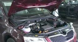 1 649 р. Газовые упоры капота Berkut Skoda Octavia A7 дорестайлинг универсал (2012-2017)  с доставкой в г. Санкт‑Петербург. Увеличить фотографию 1