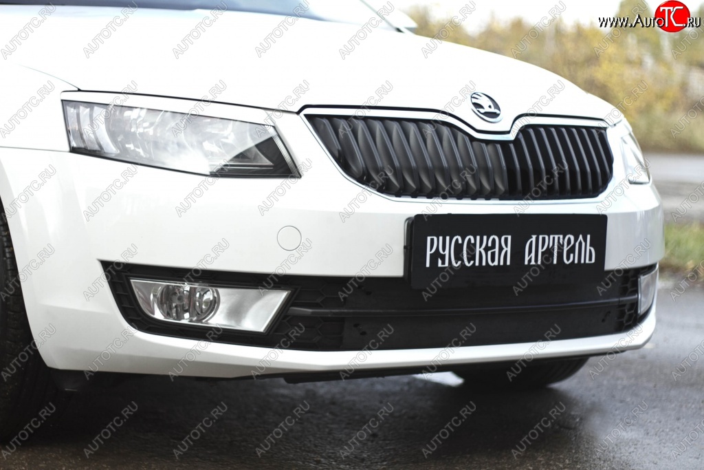 819 р. Зимняя заглушка решетки переднего бампера РА  Skoda Octavia  A7 (2012-2020)  с доставкой в г. Санкт‑Петербург