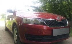 2 339 р. Сетка на бампер Russtal (черная)  Skoda Rapid  NH3 (2012-2017)  с доставкой в г. Санкт‑Петербург. Увеличить фотографию 3