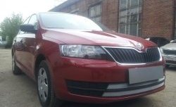 2 399 р. Сетка на бампер Russtal (хром) Skoda Rapid NH3 дорестайлинг лифтбэк (2012-2017)  с доставкой в г. Санкт‑Петербург. Увеличить фотографию 3