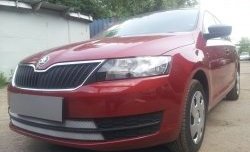 2 399 р. Сетка на бампер Russtal (хром) Skoda Rapid NH3 дорестайлинг лифтбэк (2012-2017)  с доставкой в г. Санкт‑Петербург. Увеличить фотографию 4