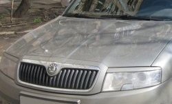 1 649 р. Реснички на фары CT Skoda Superb седан 3U дорестайлинг (2001-2006) (Неокрашенные)  с доставкой в г. Санкт‑Петербург. Увеличить фотографию 2