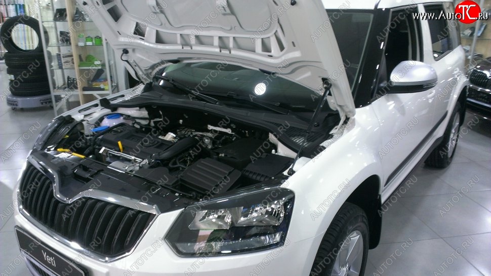 2 199 р. Газовый упор капота Berkut Skoda Yeti (2009-2013)  с доставкой в г. Санкт‑Петербург