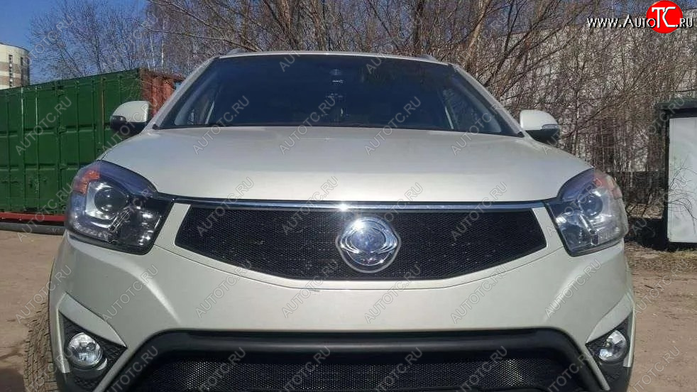 1 469 р. Защитная сетка в решетку радиатора Russtal  SSANGYONG Actyon (2013-2021) рестайлинг  с доставкой в г. Санкт‑Петербург