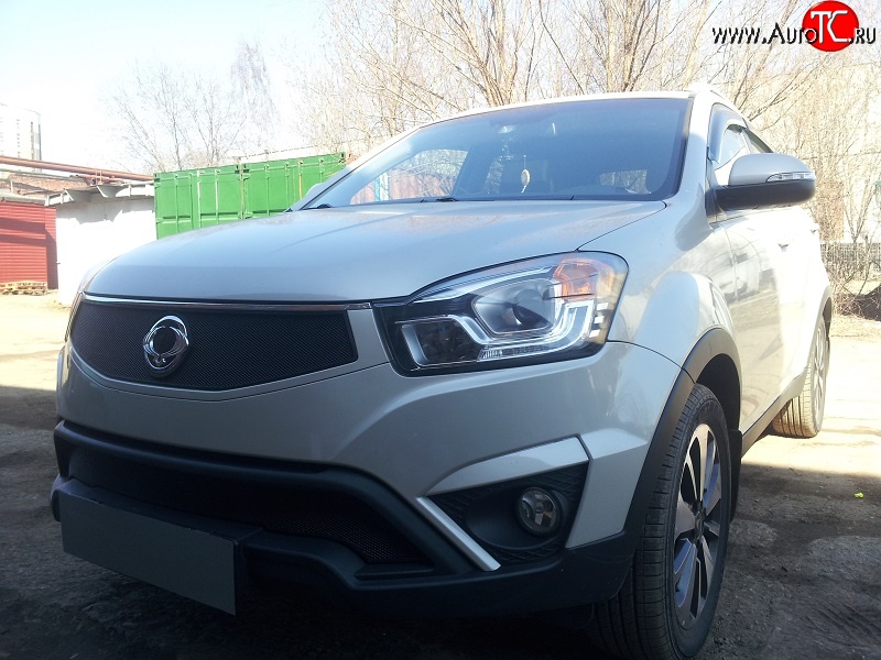 1 469 р. Сетка в решетку радиатора Russtal  SSANGYONG Actyon (2010-2013) дорестайлинг (черная)  с доставкой в г. Санкт‑Петербург