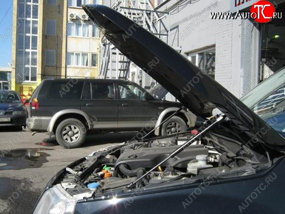 2 199 р. Газовые упоры капота Berkut Suzuki Grand Vitara JT 3 двери дорестайлинг (2005-2008)  с доставкой в г. Санкт‑Петербург