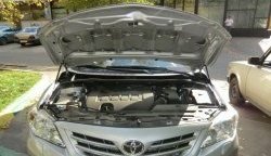 Газовые упоры капота Berkut Toyota Corolla E150 седан дорестайлинг (2006-2010)