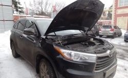 Газовые упоры капота Berkut Toyota Highlander XU50 дорестайлинг (2013-2017)