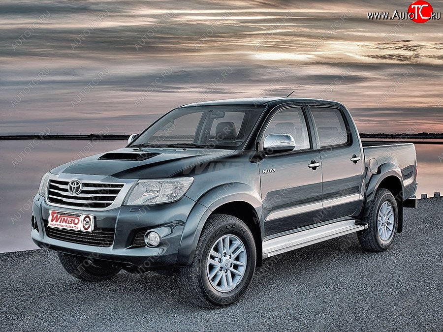 15 299 р. Подножки боковые WINBO OE Style Toyota Hilux AN20,AN30  2-ой рестайлинг (2011-2016)  с доставкой в г. Санкт‑Петербург