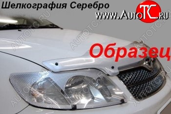 2 099 р. Защита фар (J120-J125) CA-Plastic  Toyota Land Cruiser Prado  J120 (2002-2009) (Шелкография серебро)  с доставкой в г. Санкт‑Петербург