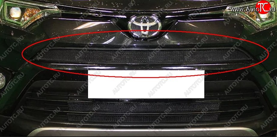 1 469 р. Сетка в решетку радиатора Russtal  Toyota RAV4  XA40 (2015-2019) 5 дв. рестайлинг (черная)  с доставкой в г. Санкт‑Петербург