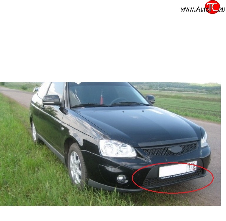 399 р. Решетка бампера 21728 Priora Sport нижняя Лада Приора 2170 седан дорестайлинг (2007-2014)  с доставкой в г. Санкт‑Петербург